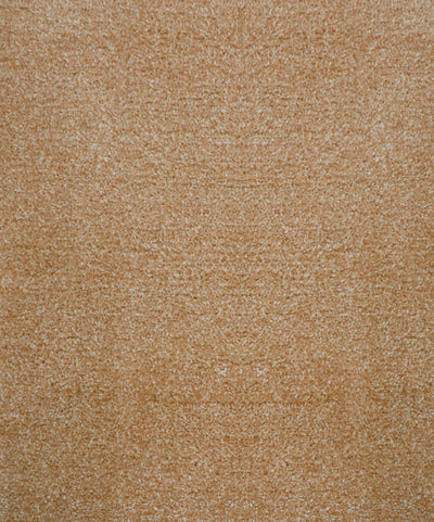 Variant 3