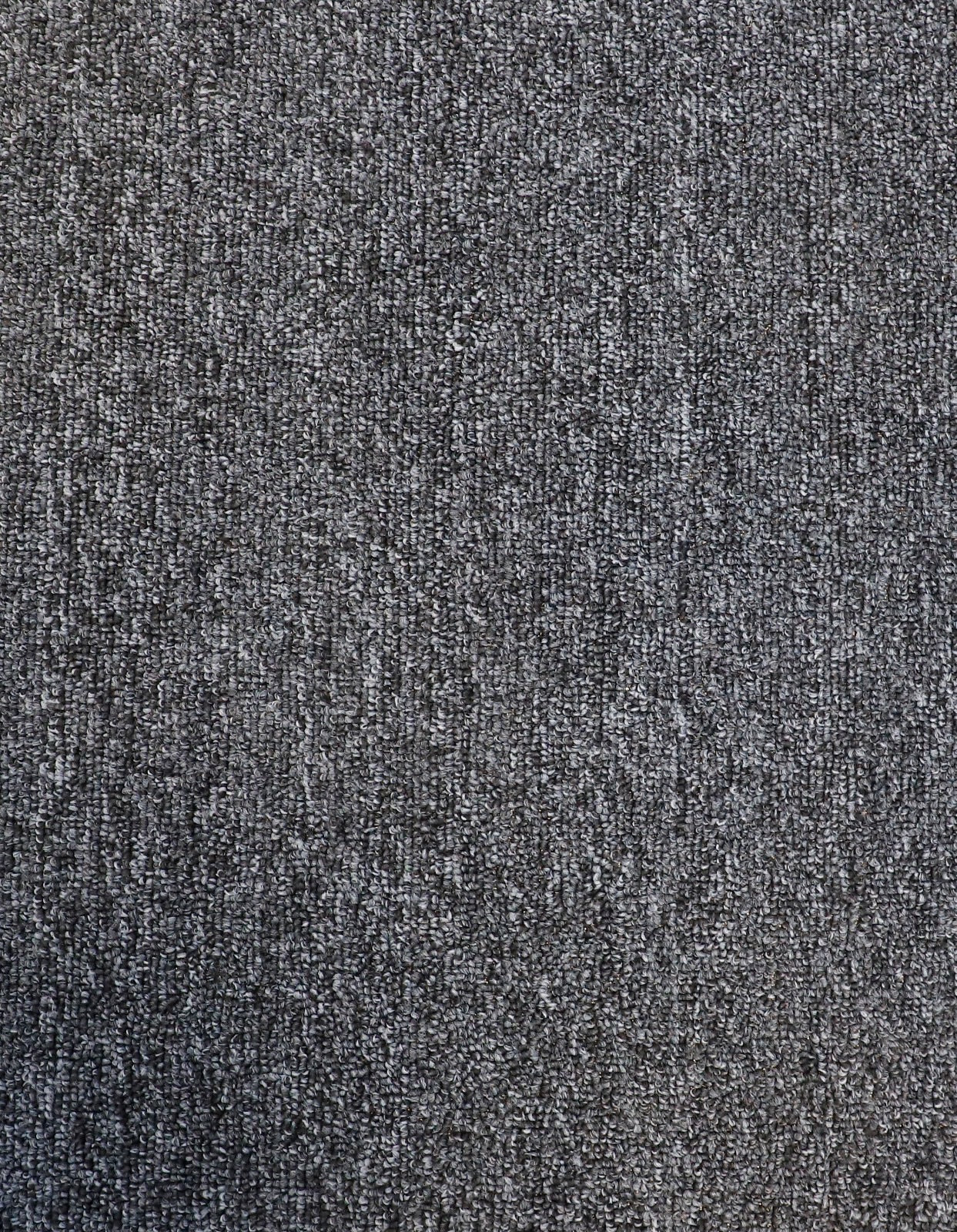 Metrosoft Loop Pile Carpet Variant 2