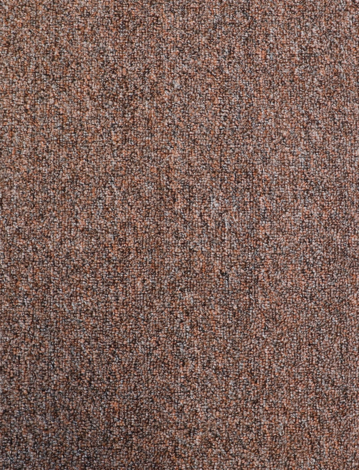 Metrosoft Loop Pile Carpet Variant 1