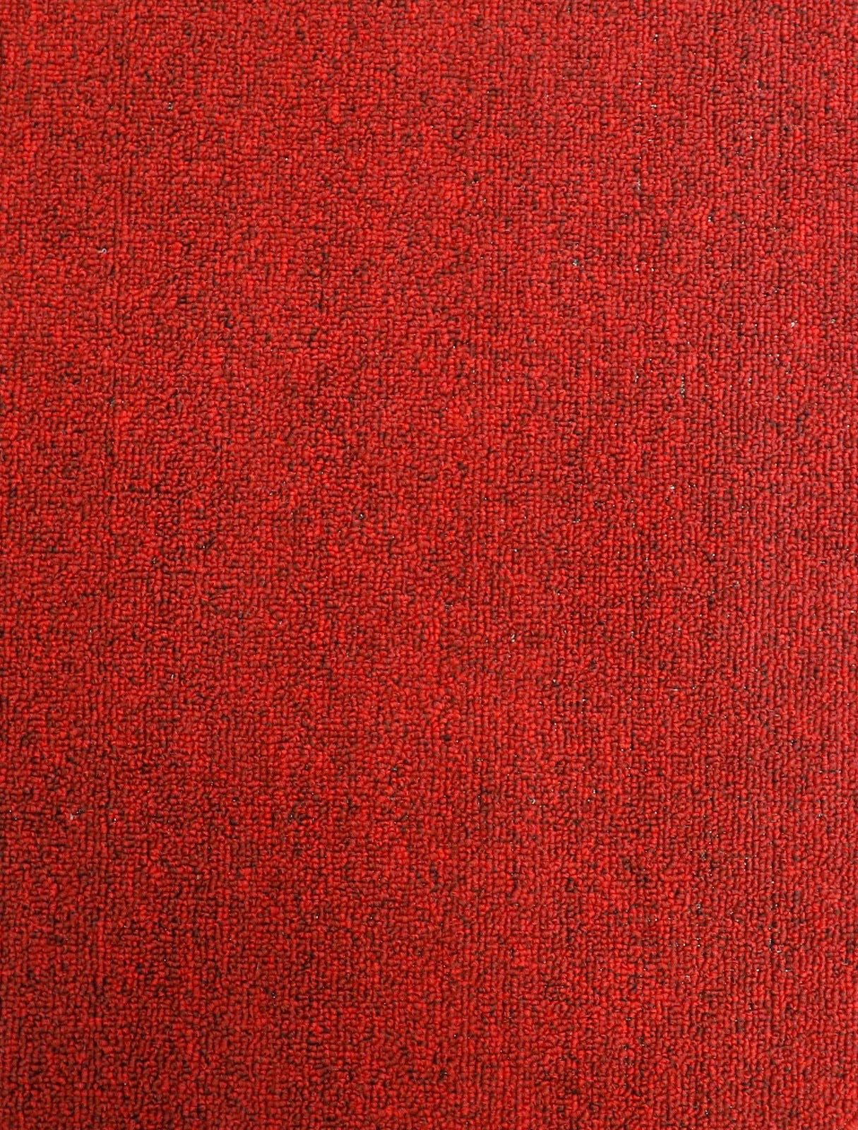 Metrosoft Loop Pile Carpet Variant 4