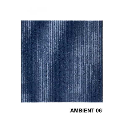 Variant 6