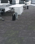 Spring Carpet Tiles