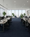 Boutique Carpet Tiles