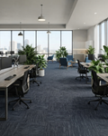 Boutique Carpet Tiles